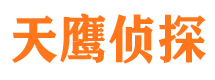 友谊市侦探调查公司